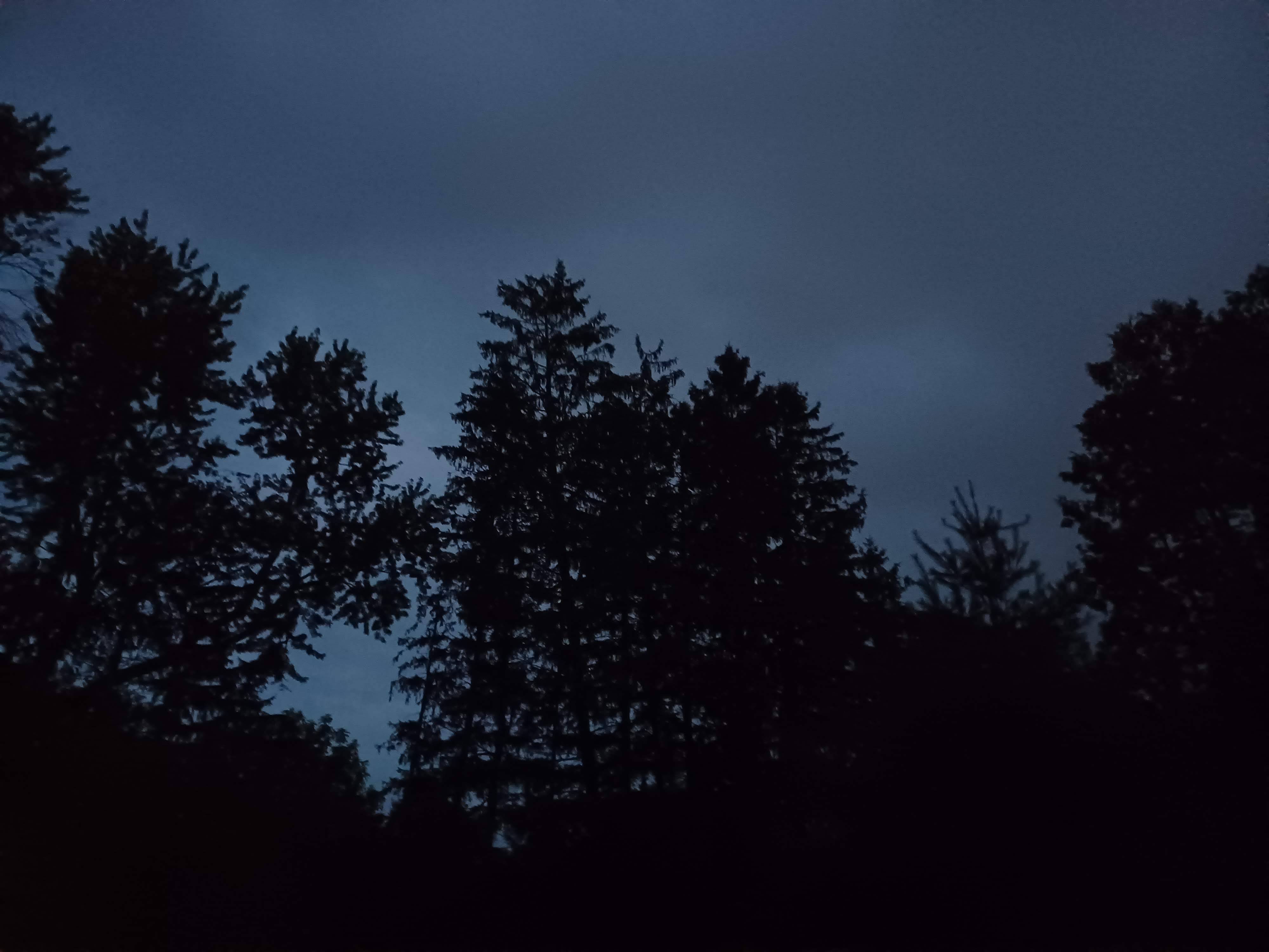 Rise before sunrise.