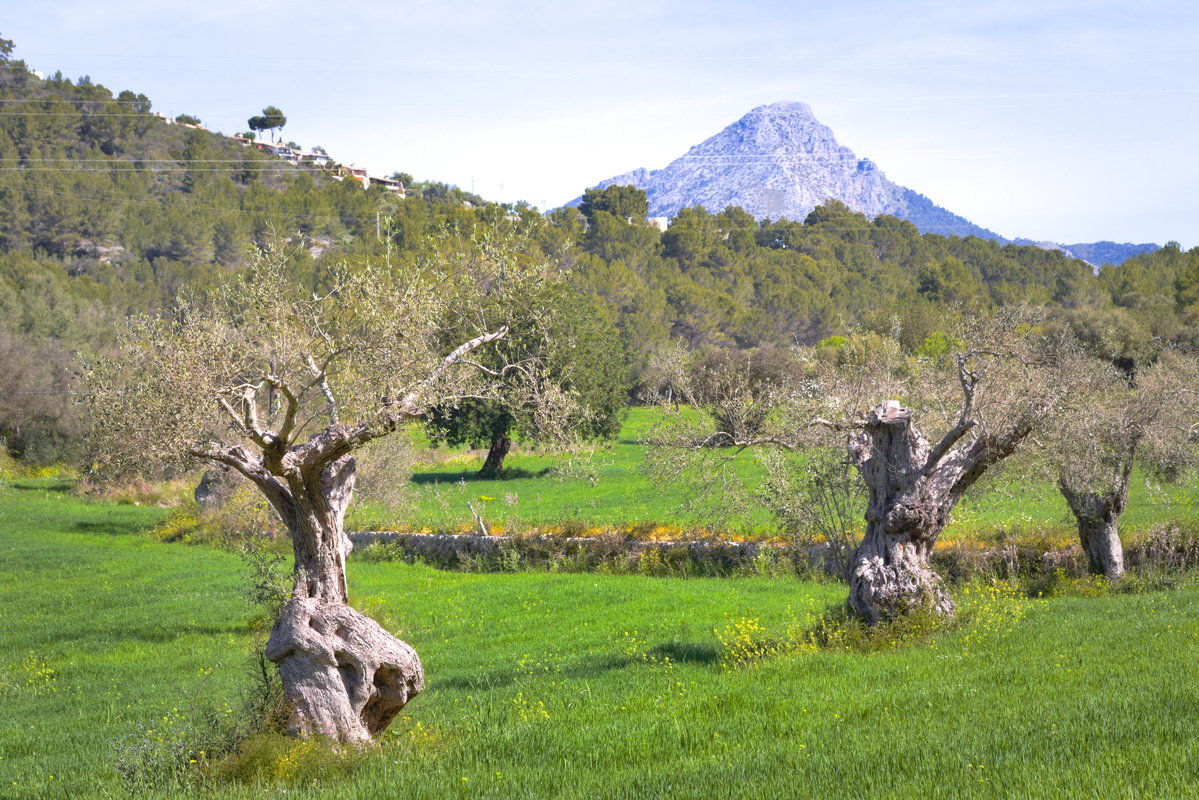 GM! It feels like a miracle…